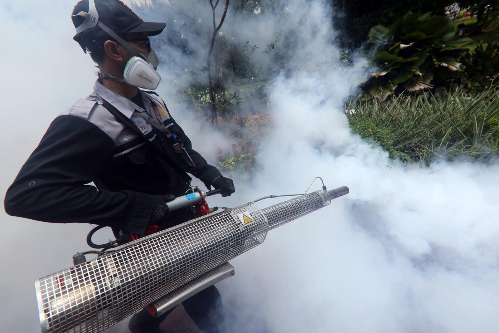 短信ニュース:抑制菌持つ蚊を放出 デング熱対策で新技術