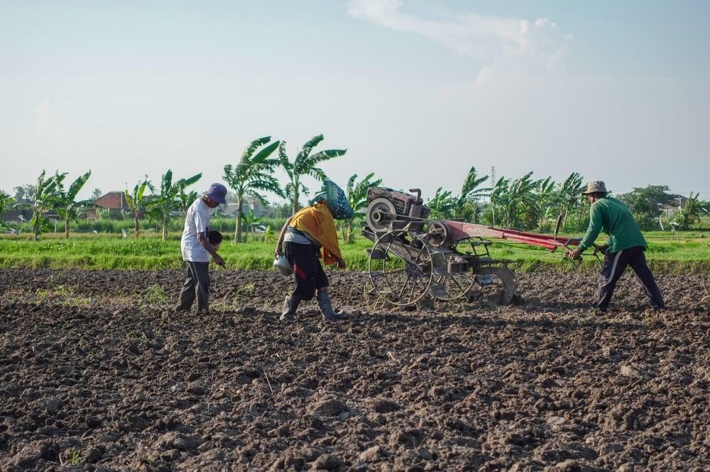 短信ニュース:農地守れ!副大臣が食糧危機回避強調