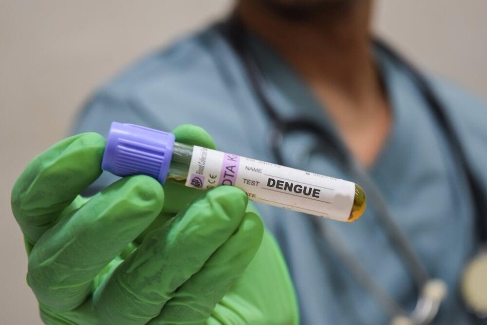 細菌持つ「蚊」デング熱制御